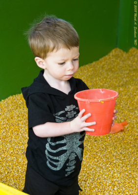 Corn Box 2
