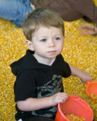 corn_box__tricycles