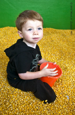 Corn Box 9