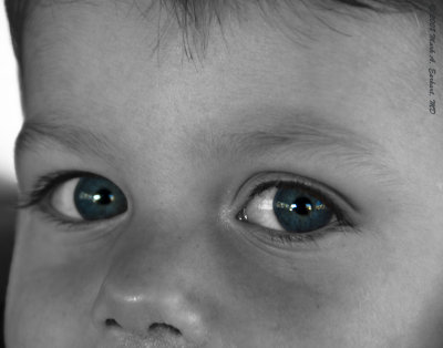 Blue Eyed Wonder