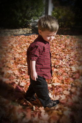 Fall Color 7