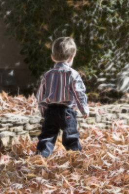 Fall Color 17