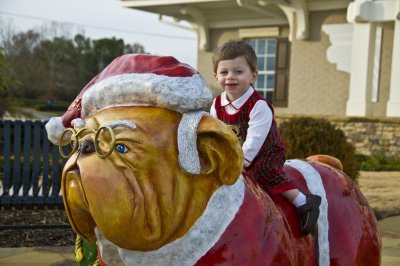 Giddy Up Santa Paws!