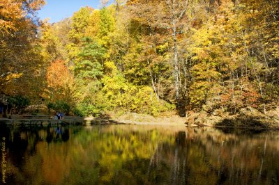 Autumn Pond