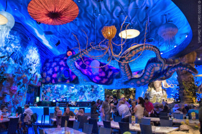 Disney World 3