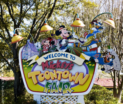 Disney World 27