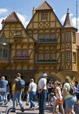 Disney World 45