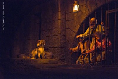 Disney World 75
