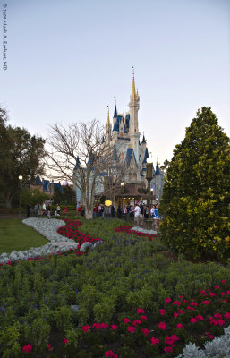 Disney World 82