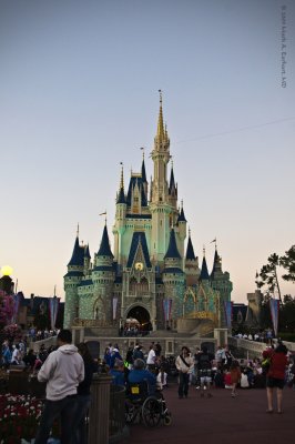 Disney World 85