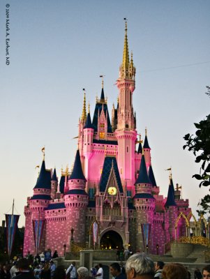 Disney World 86