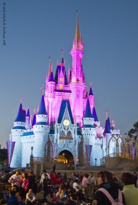 Disney World 88