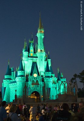 Disney World 89
