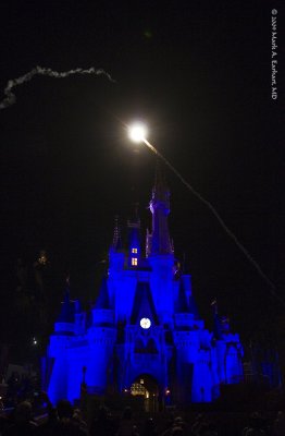Disney World 101