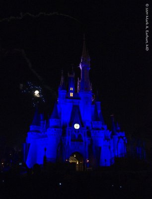 Disney World 102