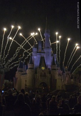 Disney World 106
