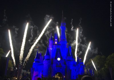 Disney World 108
