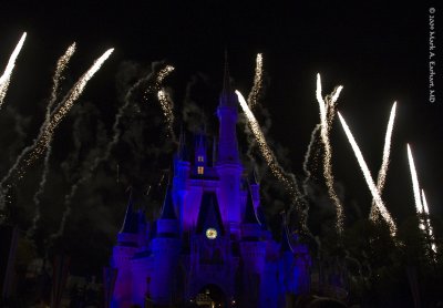 Disney World 109