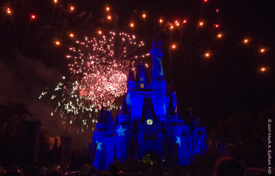 Disney World 112