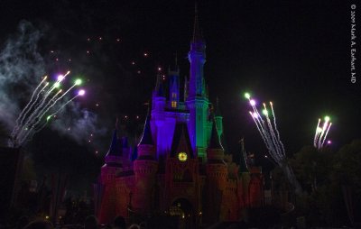 Disney World 113