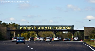 Disney World 150