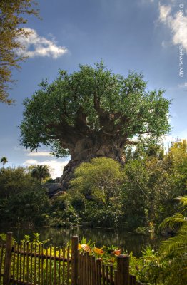 Disney World 182