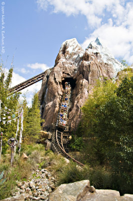 Disney World 190