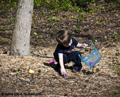 Hunting Eggs 2