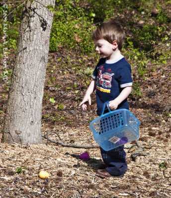 Hunting Eggs 3