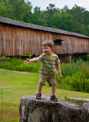 The Little Orator, Part II