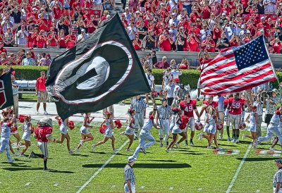 Flag Running 1 (Lucis)