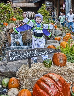 Buzz In Gatlinburg, Tennessee 2