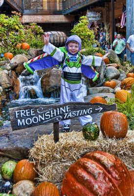 Buzz In Gatlinburg, Tennessee 3