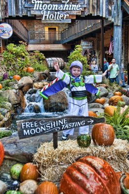 Buzz In Gatlinburg, Tennessee 6