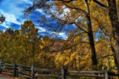Fall Fenced In