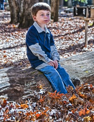 In The Woods 08