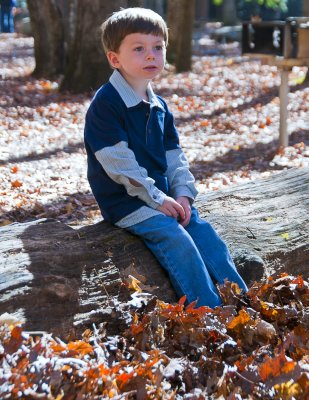In The Woods 09