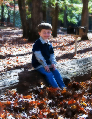 In The Woods 10