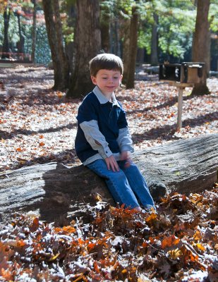 In The Woods 11