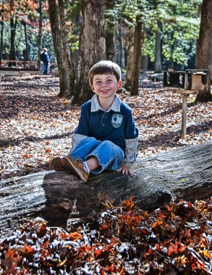 In The Woods 14