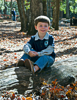 In The Woods 16