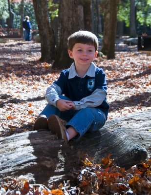 In The Woods 18