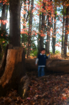 In The Woods 19