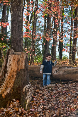 In The Woods 20