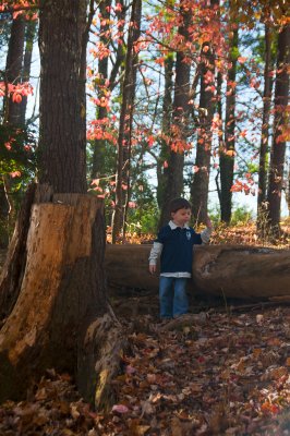 In The Woods 21