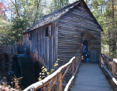 In The Woods 23