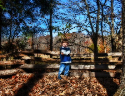 In The Woods 24