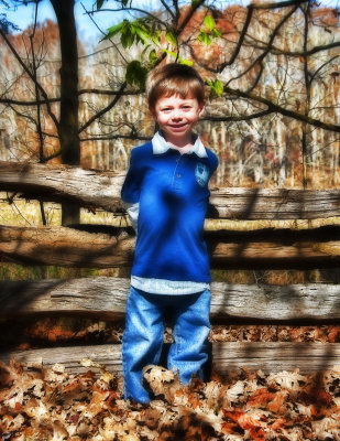 In The Woods 28