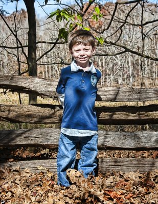 In The Woods 29