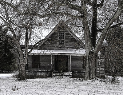 Abandoned Home, Dying Trees & Fallen Snow